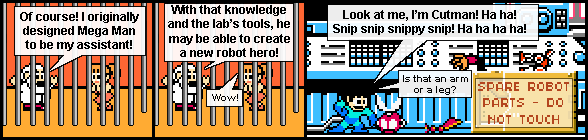 The Lost Robot Master Saga #20: Adding Insult to Injury